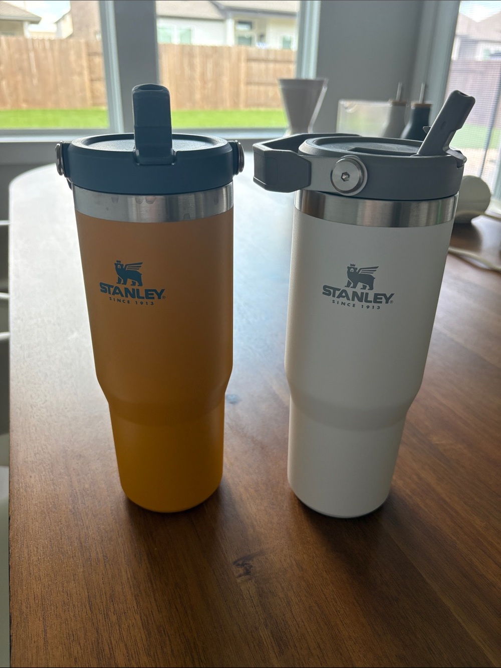 Two Stanley 30 oz Water Bottles